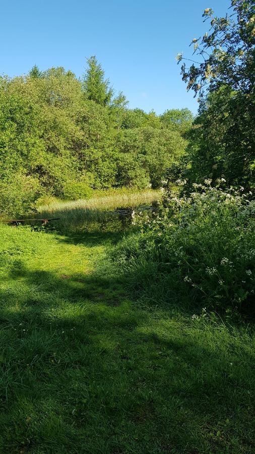 Hotel Basic Ingerichte Vouwwagen Op Camping Westenenk, Wijster Zewnętrze zdjęcie